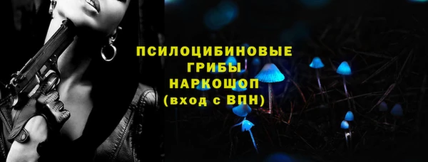 стаф Лабытнанги