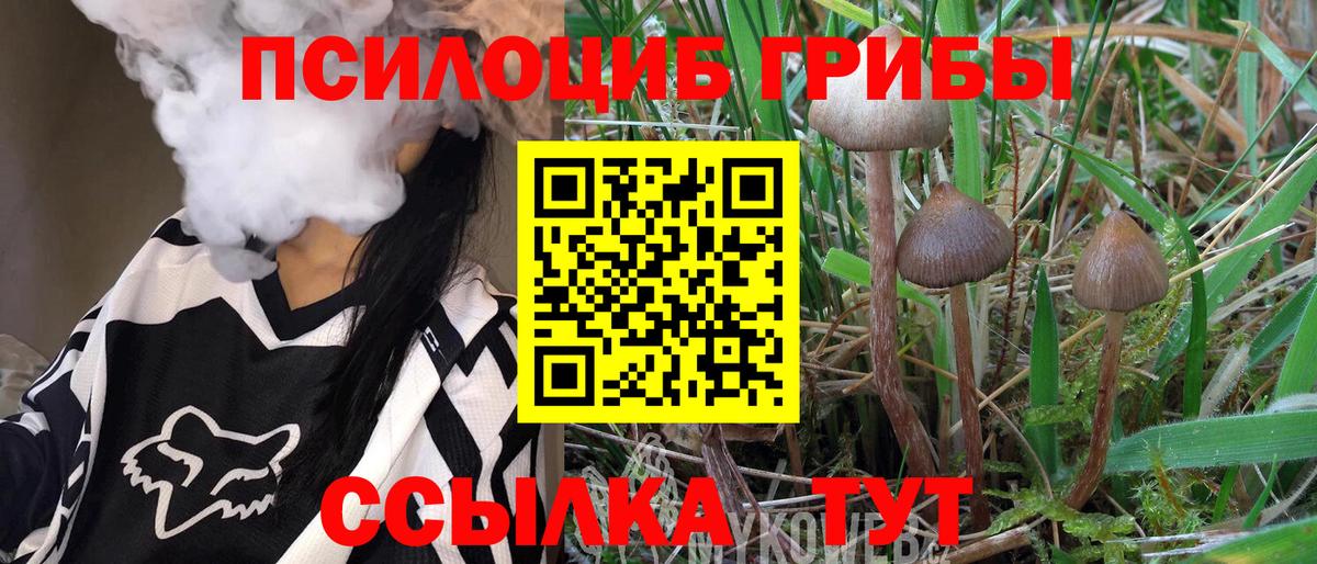 Псилоцибиновые грибы Psilocybine cubensis  купить наркотики сайты  Псилоцибиновые грибы Psilocybine cubensis  Керчь 