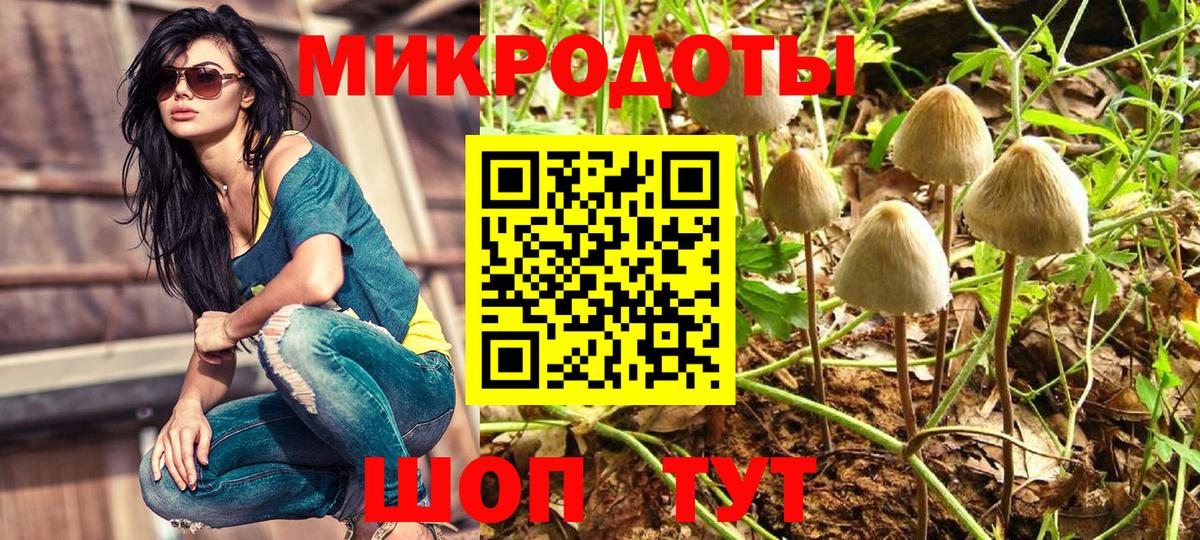 Галлюциногенные грибы MAGIC MUSHROOMS  Вход с VPN  Псилоцибиновые грибы Psilocybine cubensis  Керчь 