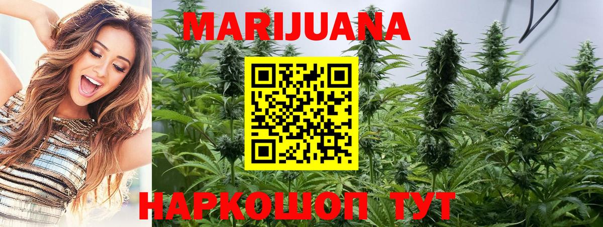 Марихуана OG Kush Керчь